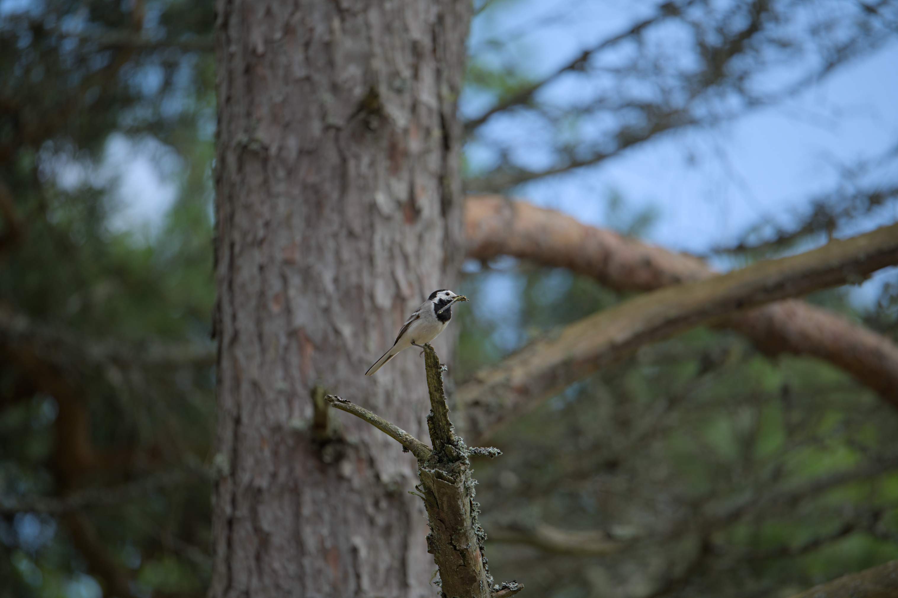 2025/07/09-14 - trip/export/DSC_0422.jpg